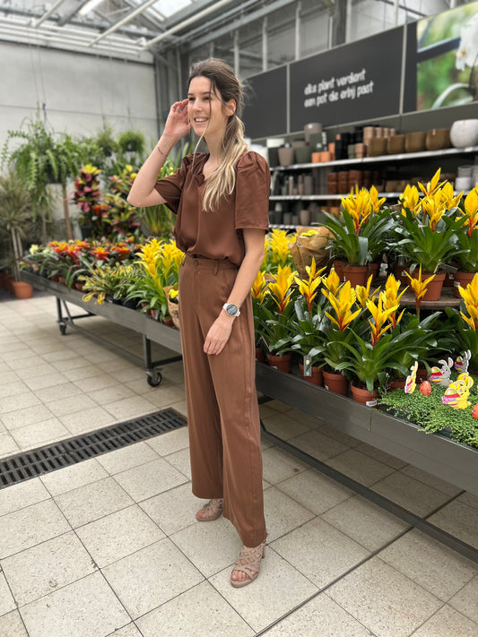 Yest broek Diana bruin