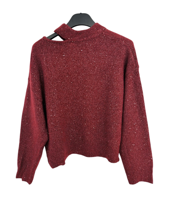 Trui Steven bordeaux